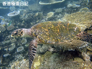 f0190653_2127518.jpg