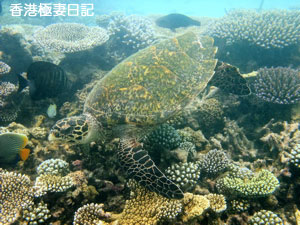 f0190653_21275378.jpg