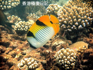 f0190653_21284312.jpg