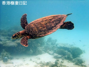 f0190653_21293228.jpg