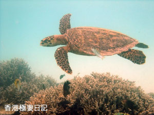 f0190653_2129848.jpg