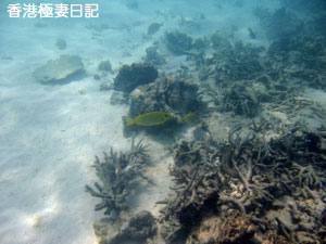 f0190653_9422610.jpg