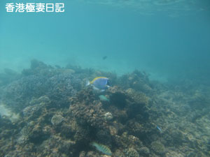 f0190653_9423855.jpg