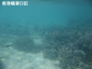 f0190653_943814.jpg
