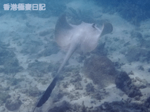 f0190653_9441487.gif