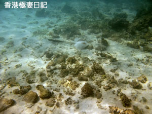 f0190653_944159.jpg
