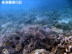 f0190653_9442671.jpg