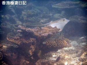 f0190653_9444299.jpg