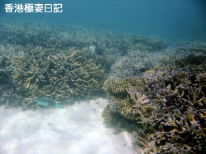 f0190653_9452215.jpg