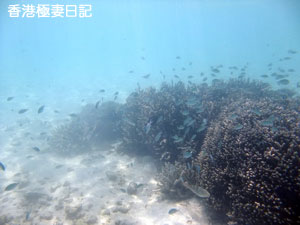 f0190653_945338.jpg