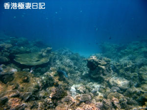 f0190653_9461552.jpg