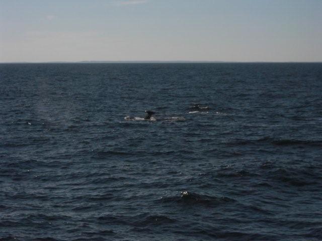 a0124959_1385320.jpg
