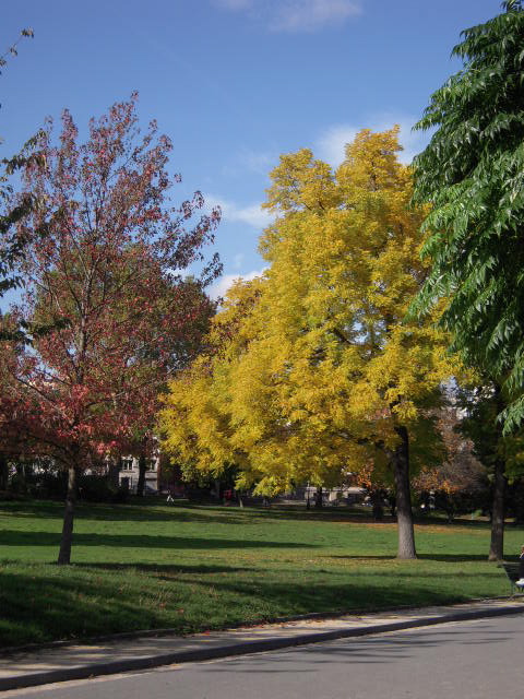 b0169771_553761.jpg