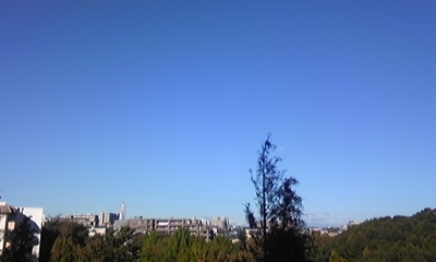 c0061774_2334337.jpg