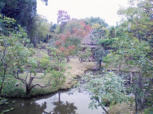 b0100489_4492063.jpg