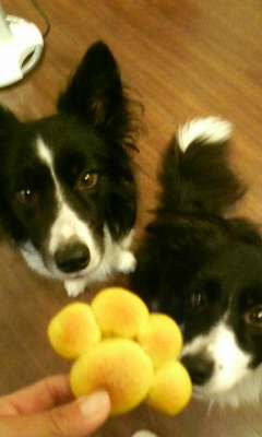 c0123890_20423226.jpg