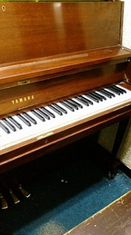 c0154691_22223939.jpg