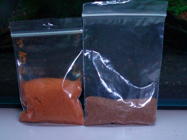e0192991_23131387.jpg