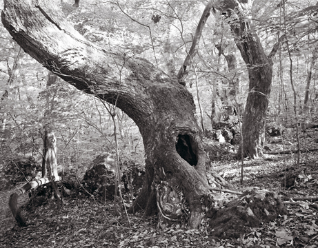 f0132391_13331687.jpg