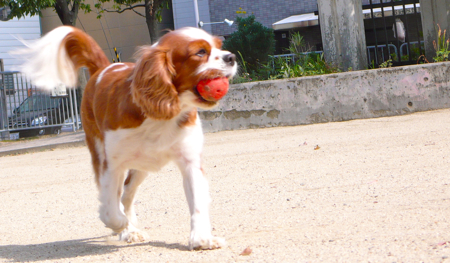 a0079292_7201531.jpg