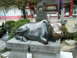f0008692_004641.gif
