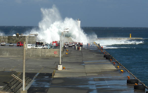 f0000593_22214734.jpg