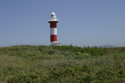 a0127398_215829.jpg