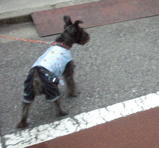 c0138198_1814560.jpg