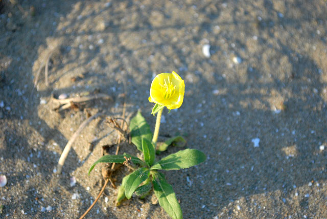 b0136300_2211011.jpg