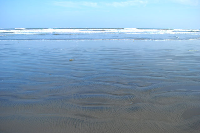 b0136300_2244459.jpg