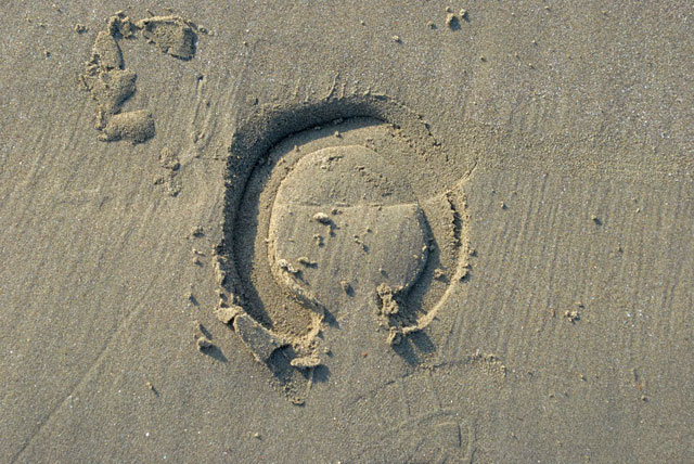 b0136300_2271413.jpg