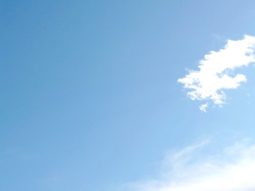 c0058606_012096.jpg