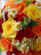 f0054809_1453153.jpg