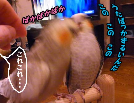 c0133013_1951567.jpg