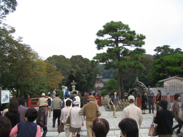 b0093515_7294099.jpg