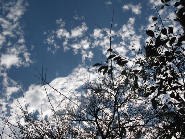 c0073016_2394830.jpg