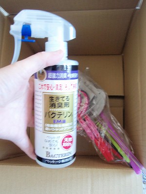c0145016_9484210.jpg