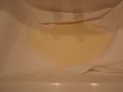 c0145016_9484881.jpg