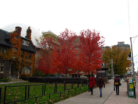 c0126120_1431369.jpg