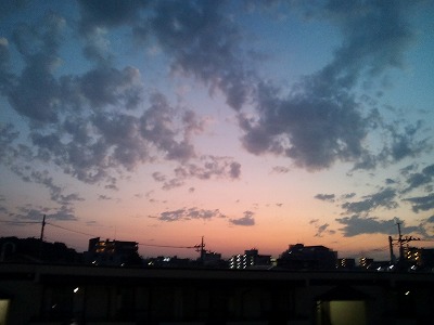 e0162524_1230052.jpg