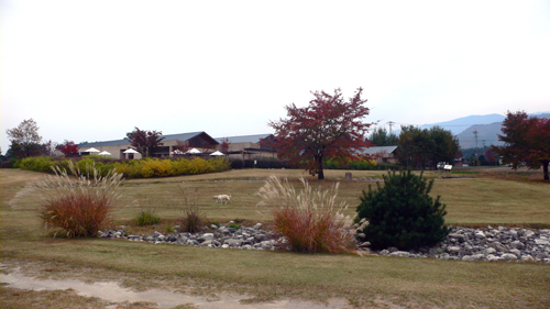 f0060424_19125094.jpg