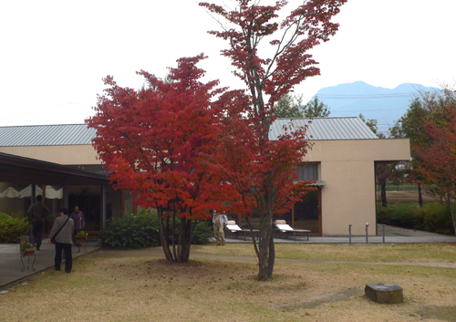 f0060424_22442253.jpg