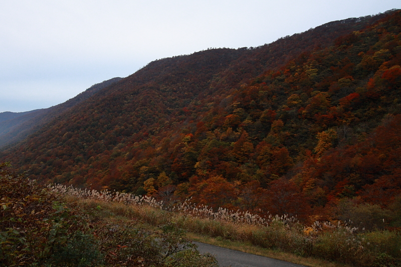 c0125325_2155622.jpg
