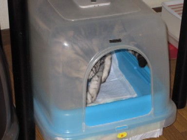 e0191826_0445275.jpg