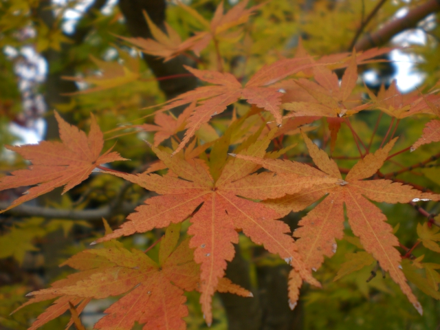 c0201427_0483690.jpg