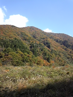 a0126128_20562619.jpg