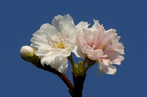 a0017634_752507.jpg