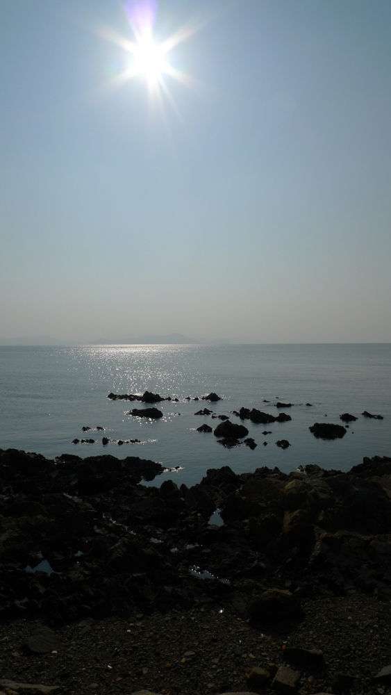 a0134839_17511578.jpg