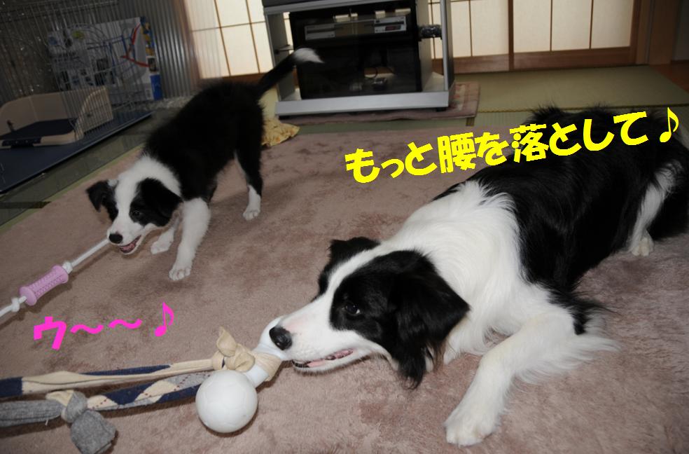 c0147241_2241229.jpg
