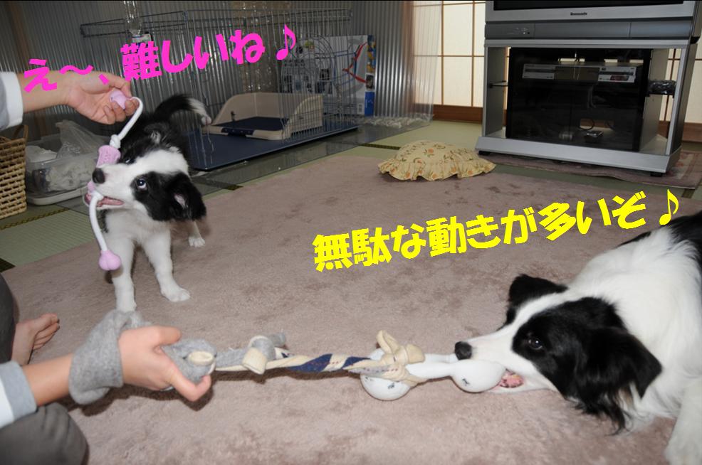 c0147241_2241911.jpg